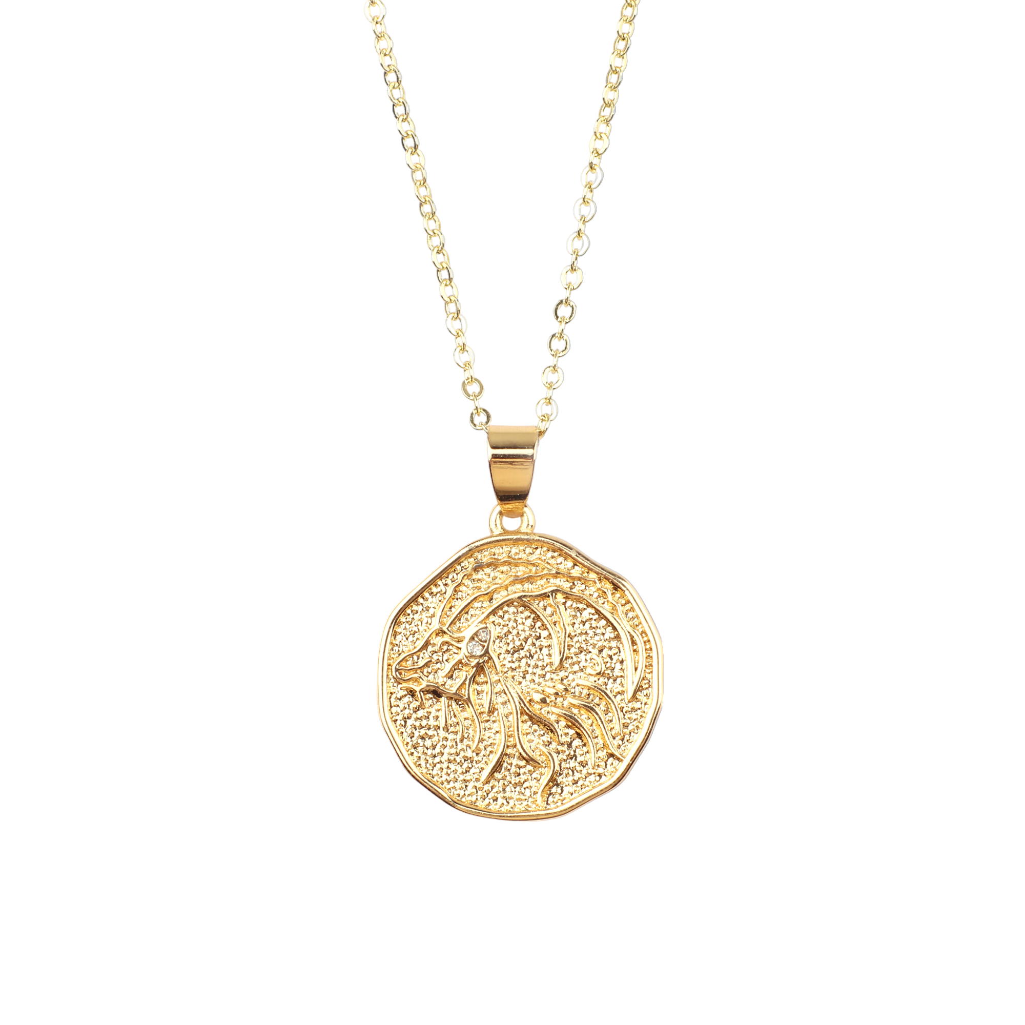 Astrological Sign Coin Pendant Necklace